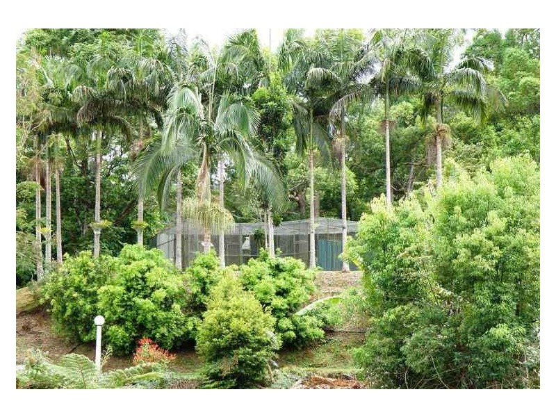 32 Pigeonberry Road, Nobbys Creek NSW 2484