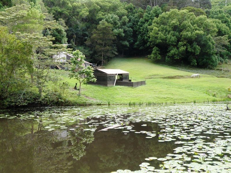 32 Pigeonberry Road, Nobbys Creek NSW 2484