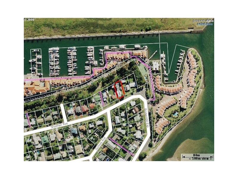 116 Sheehan Avenue, Hope Island QLD 4212