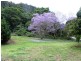 87 Reynolds Road, Currumbin Valley QLD 4223