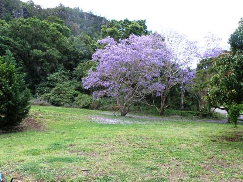 87 Reynolds Road, Currumbin Valley QLD 4223