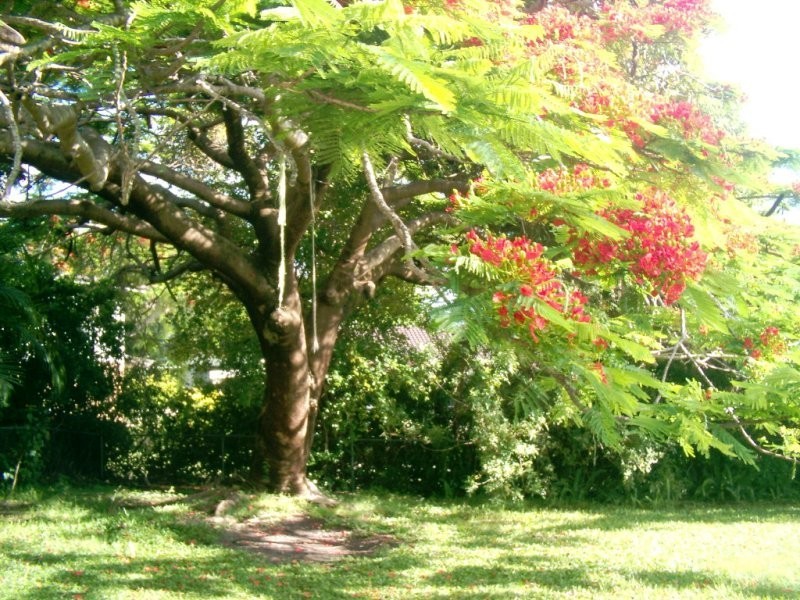 27D Muir Street, Labrador QLD 4215