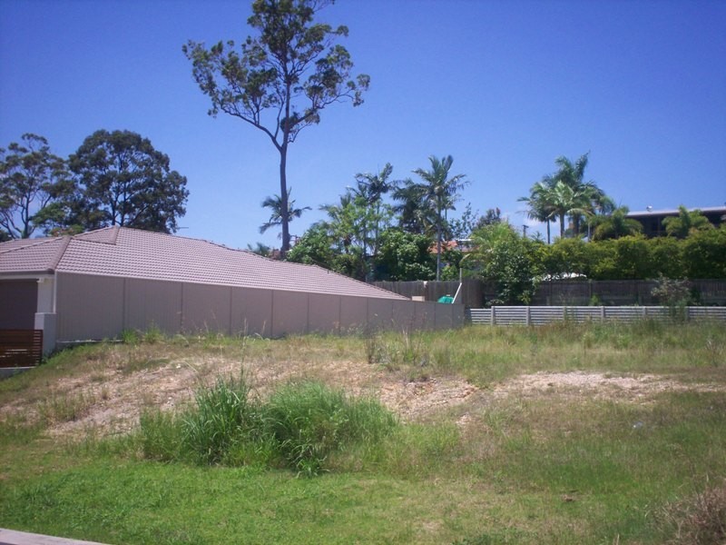 8 Stringybark Drive, Molendinar QLD 4214