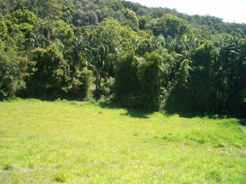 Parklakes Drive, Bli Bli QLD 4560