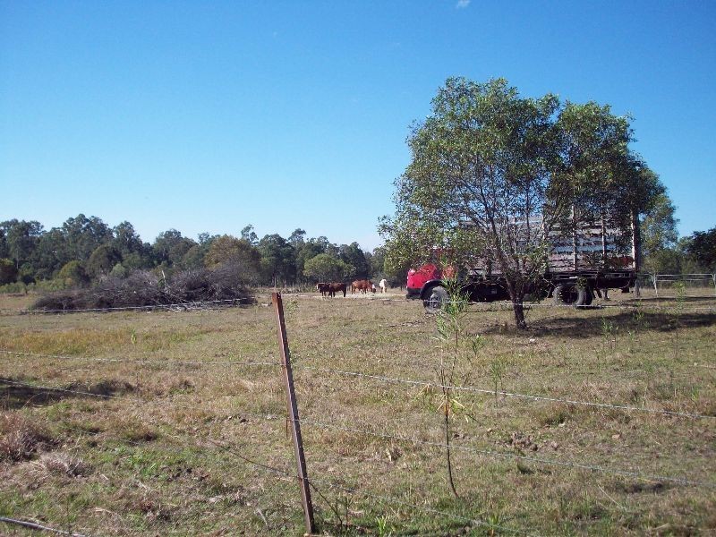 Tamaree QLD 4570