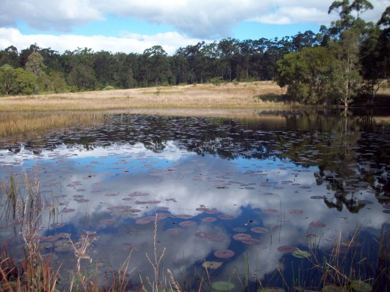 Wolvi QLD 4570