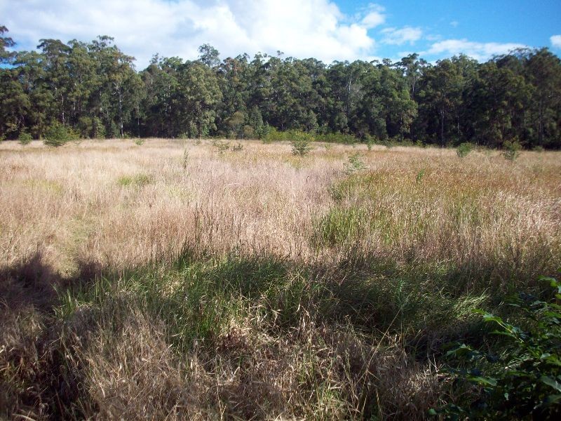 Wolvi QLD 4570