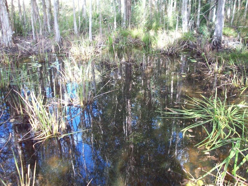 Wolvi QLD 4570
