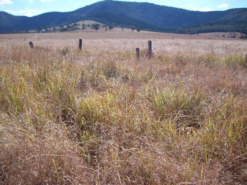 Widgee QLD 4570