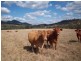 Widgee QLD 4570