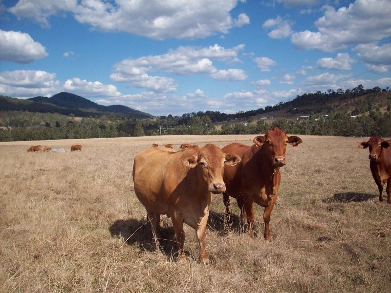 Widgee QLD 4570