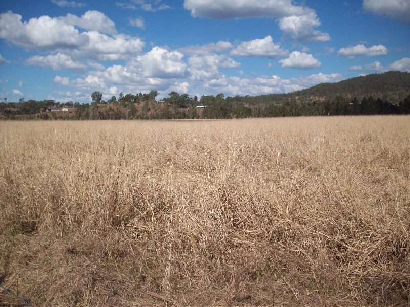 Widgee QLD 4570