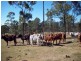 Widgee QLD 4570