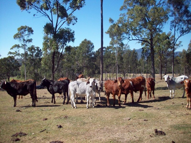 Widgee QLD 4570