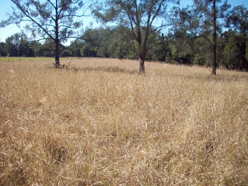 Widgee QLD 4570