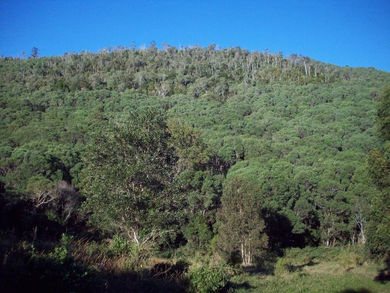 Scrubby Creek QLD 4570