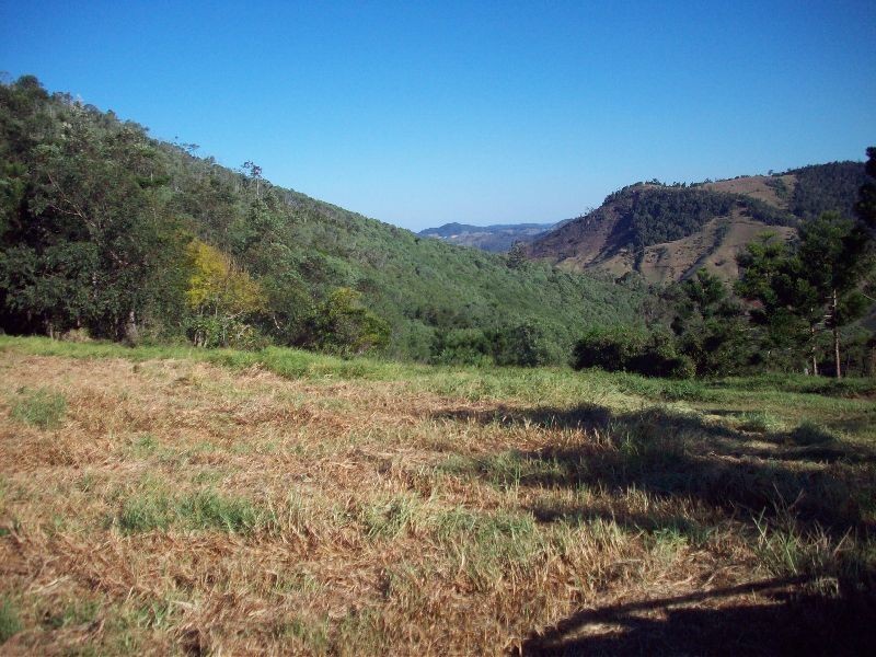 Scrubby Creek QLD 4570