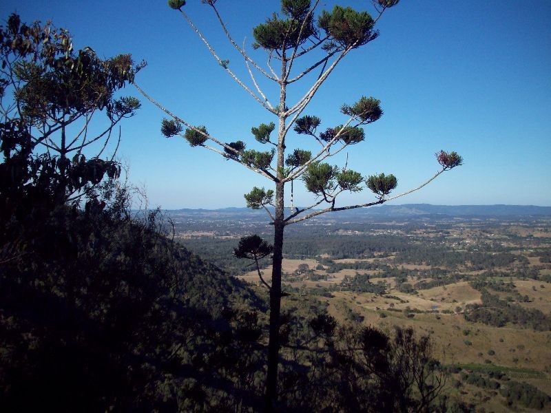 Scrubby Creek QLD 4570