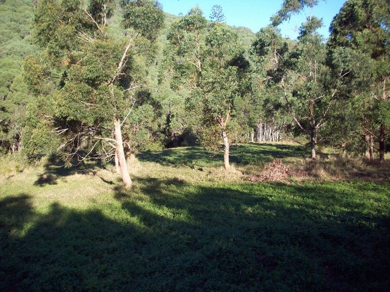 Scrubby Creek QLD 4570