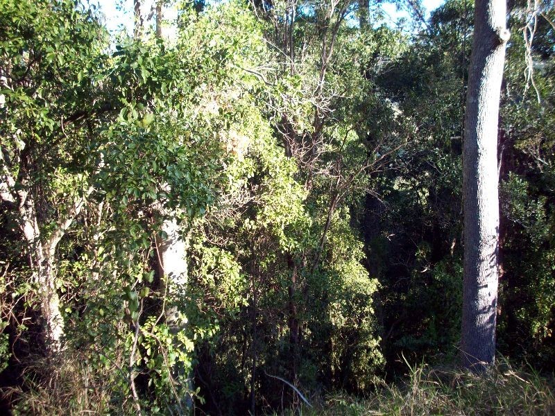 Scrubby Creek QLD 4570