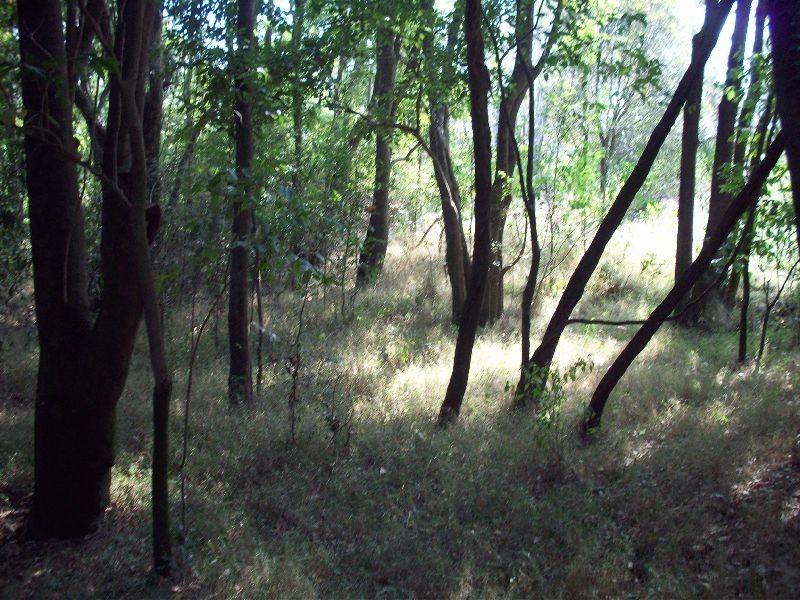 Glen Echo QLD 4570