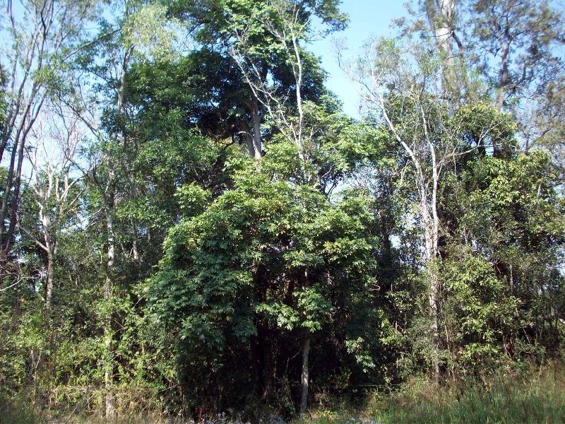 Glen Echo QLD 4570