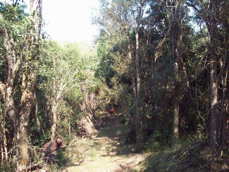 Glen Echo QLD 4570
