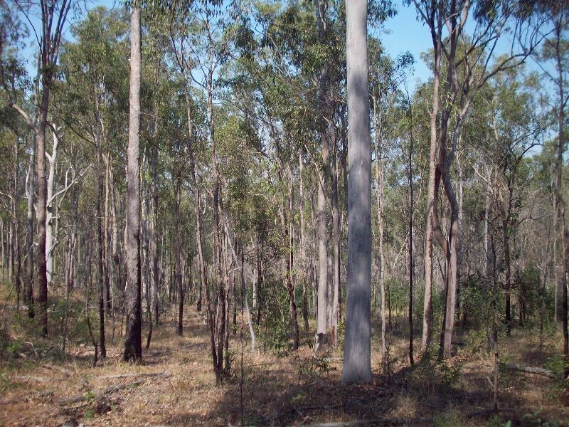 Glen Echo QLD 4570