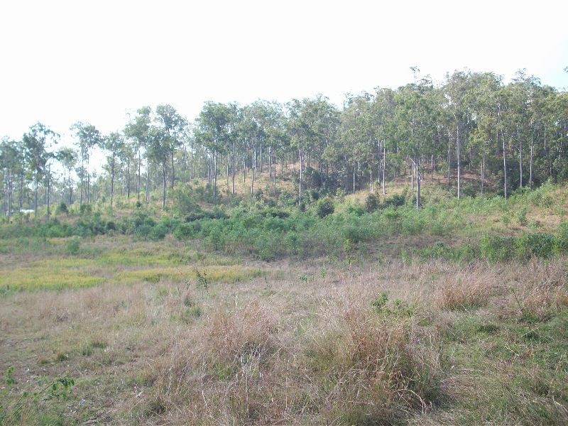 Curra QLD 4570