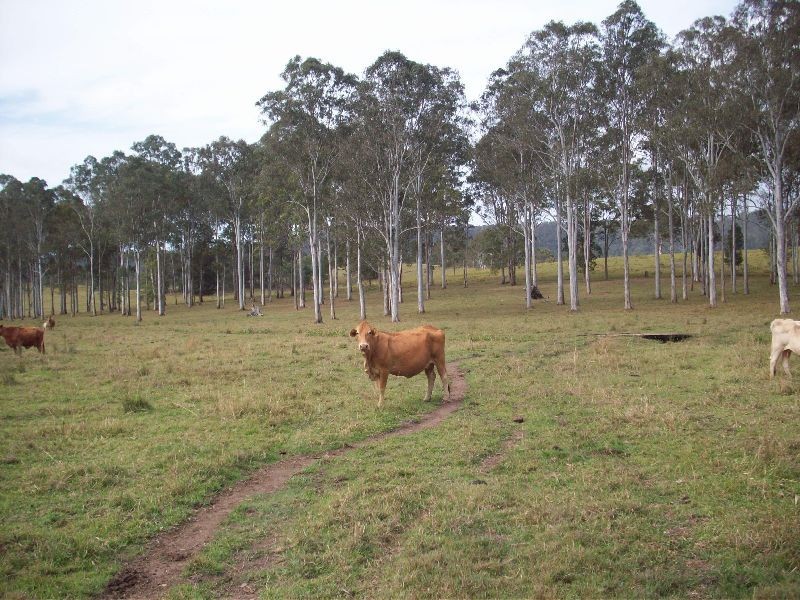 Beenaam Valley QLD 4570