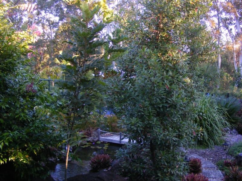 Mothar Mountain QLD 4570