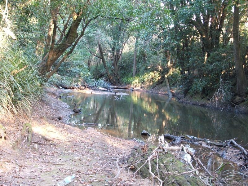 Mothar Mountain QLD 4570