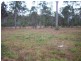 Gunalda QLD 4570