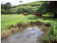 Pinbarren QLD 4568