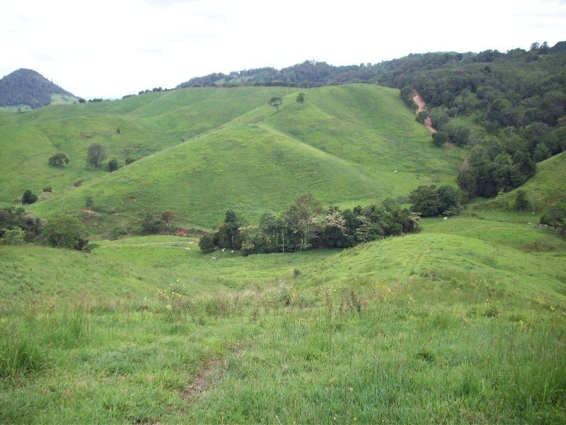 Pinbarren QLD 4568