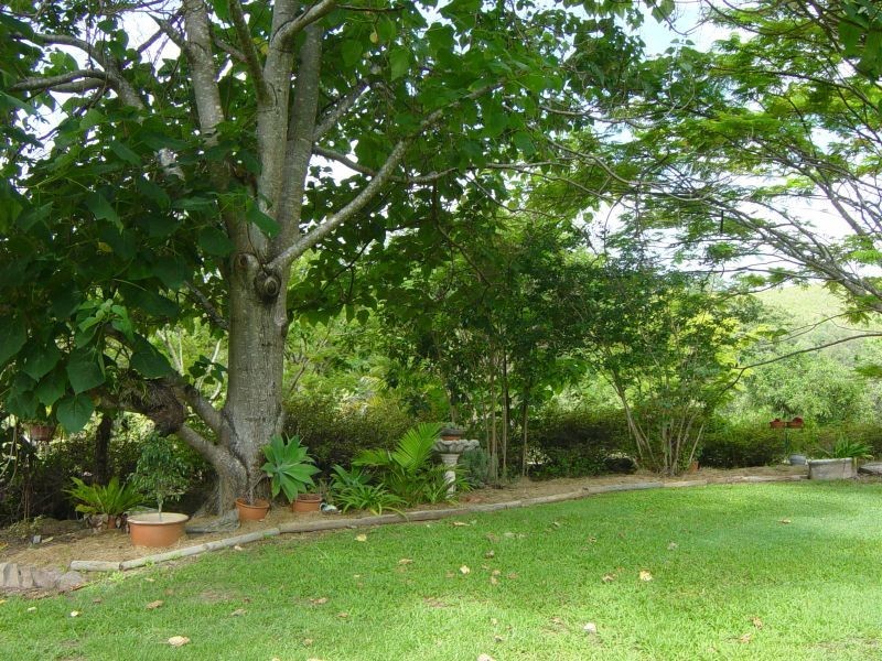 Wolvi QLD 4570