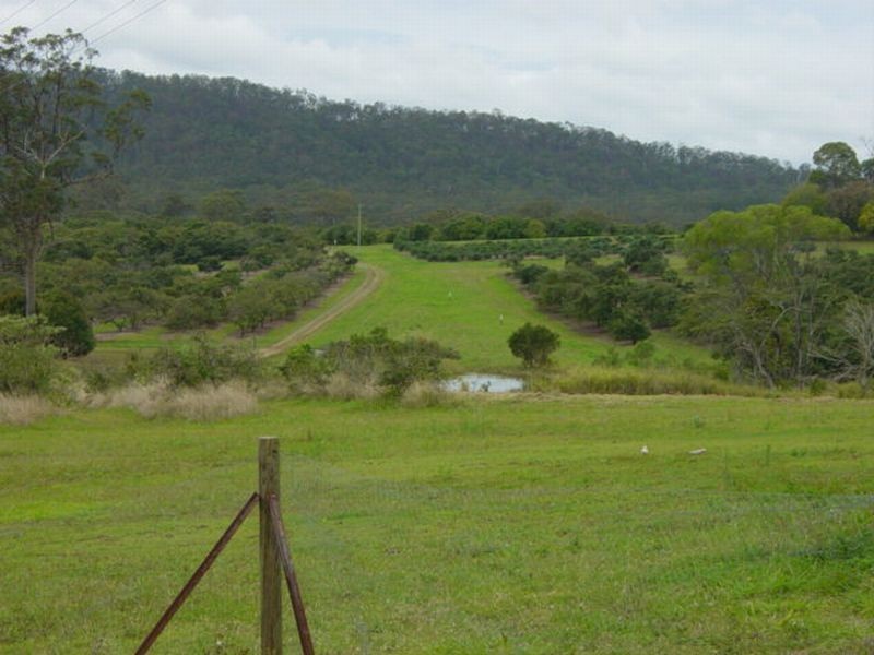Wolvi QLD 4570