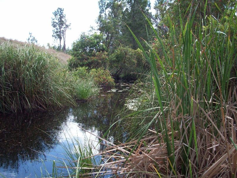 Widgee QLD 4570