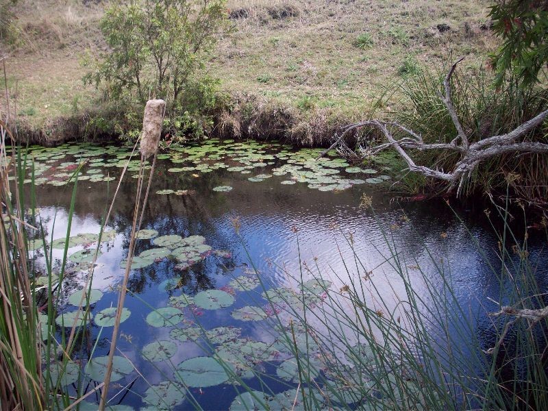 Widgee QLD 4570