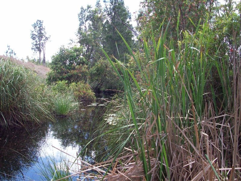 Widgee QLD 4570