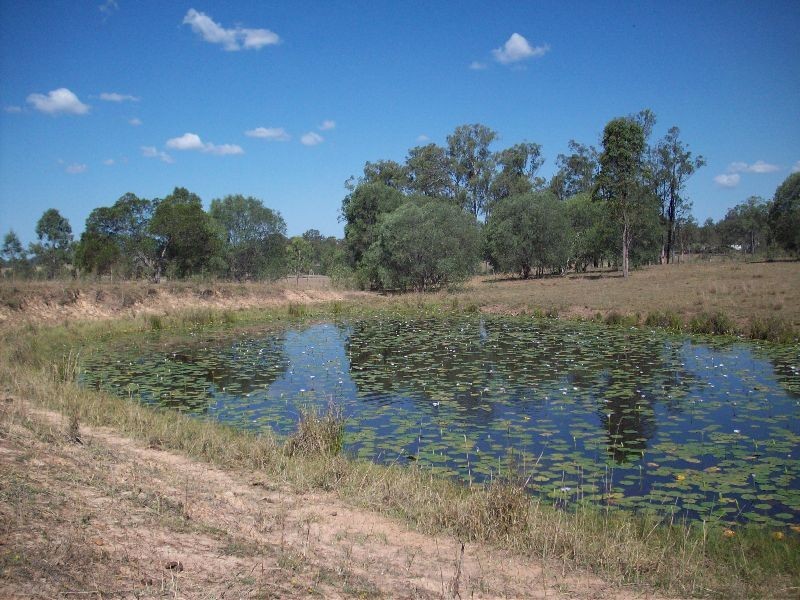 Sexton QLD 4570