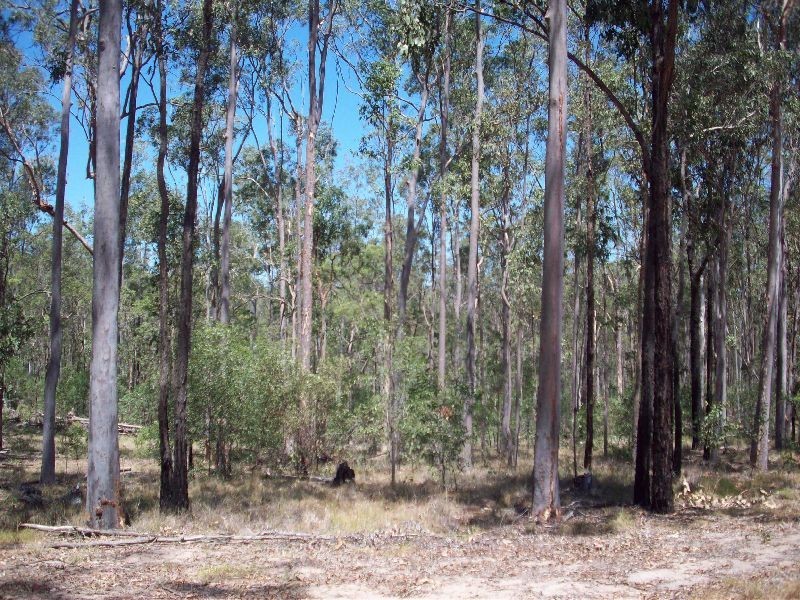 Gunalda QLD 4570