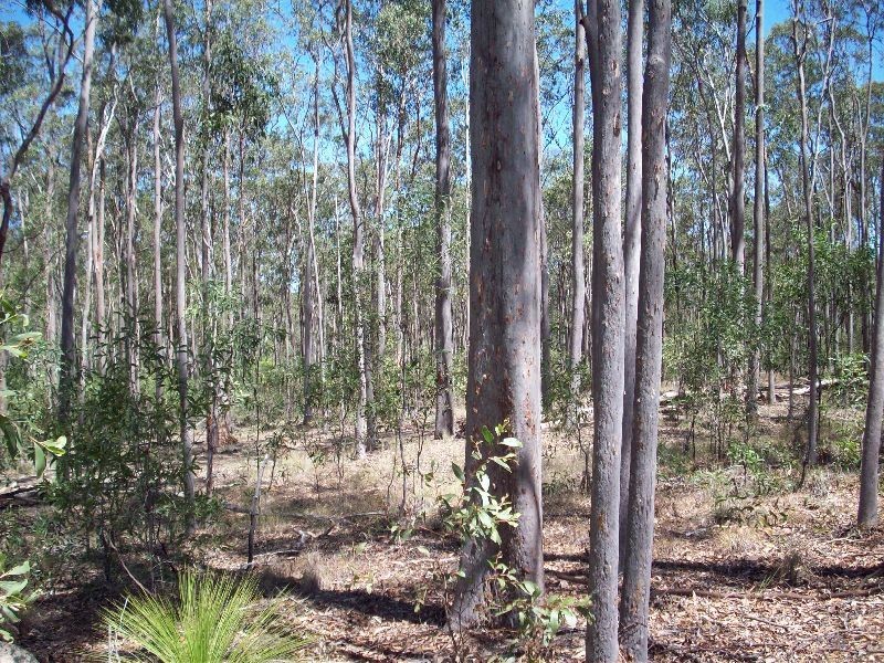Gunalda QLD 4570