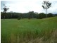 Lower Wonga QLD 4570