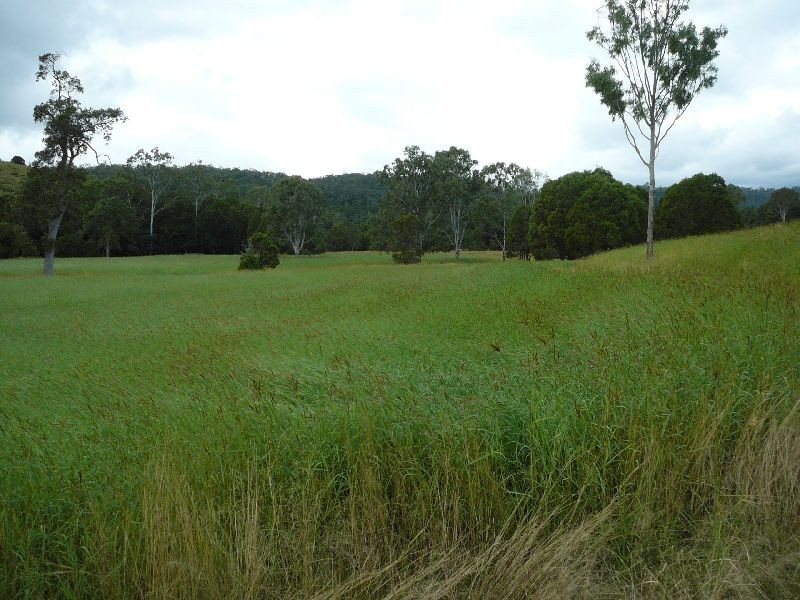 Lower Wonga QLD 4570