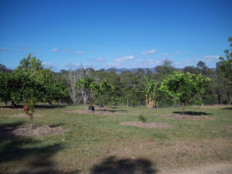 Lower Wonga QLD 4570