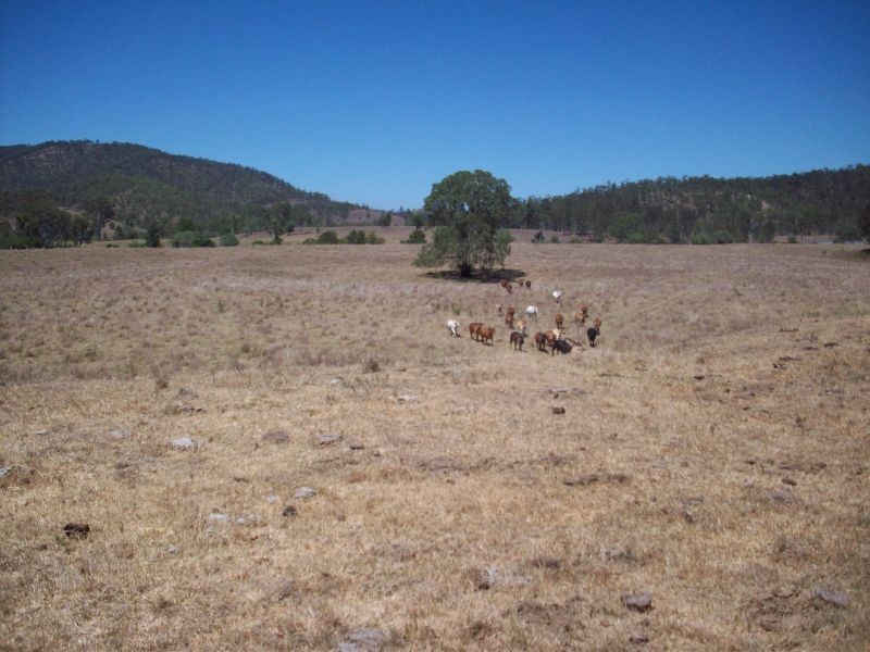 Sexton QLD 4570