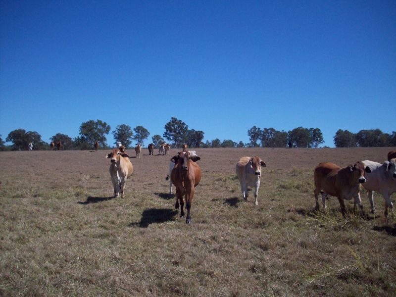 Sexton QLD 4570