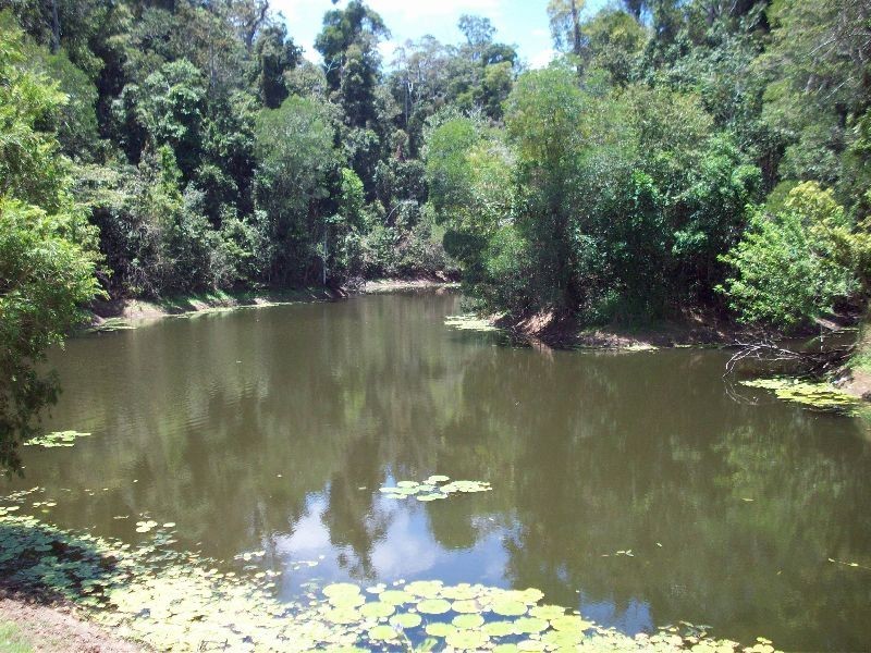 Cedar Pocket QLD 4570