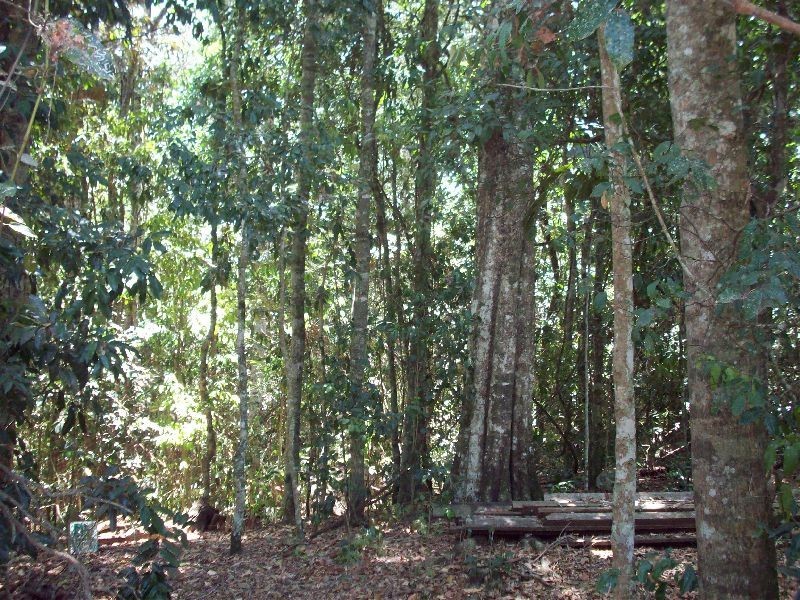 Cedar Pocket QLD 4570